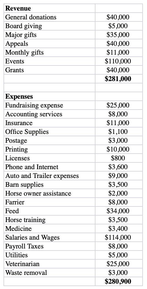 nonprofit budget